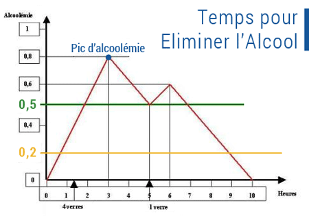 courbe alcoolemie en fonction du temps