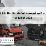 L’homicide routier voté au Sénat : ça change quoi ?
